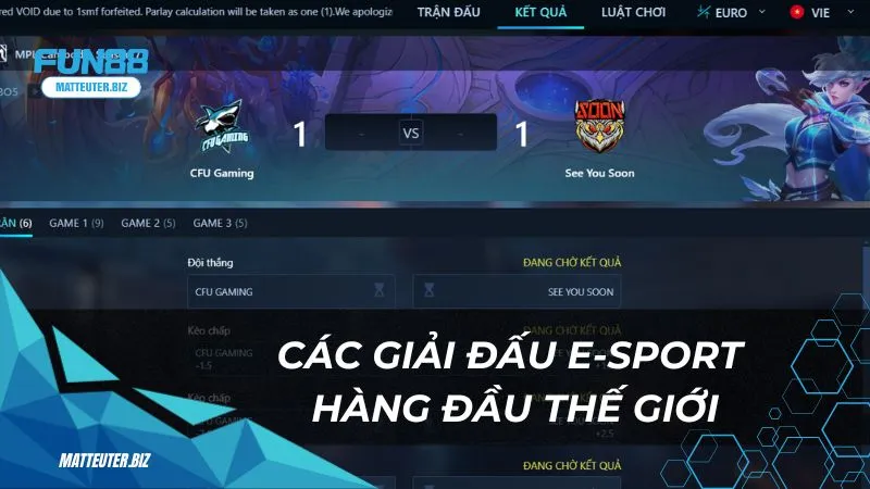 TF E-sport Fun88: Sân chơi cá cược cho các giải đấu hàng đầu 2 Các giải đấu E-sport hàng đầu thế giới
